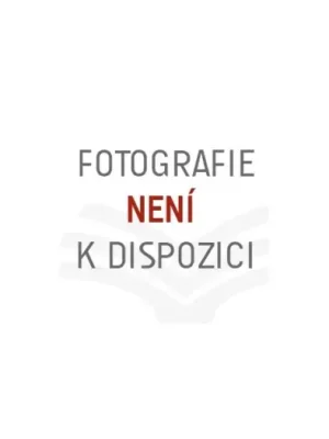 Tovární Cena Hakr tyče ALU 108 cm